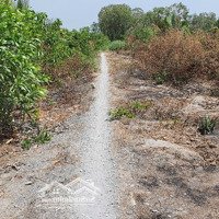 Bán Gấp 789M² Đất Lúa Đã Quy Hoạch Đất Ở Giá Chỉ 1,5 Tỷ Cực Kỳ Tiềm Năng
