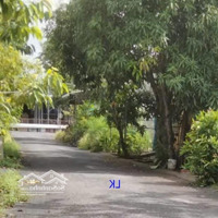 Bán Nền: 123M² (6M X 20.7M, Thổ 100%) Kdc Xã Ba Sao, H Cao Lãnh