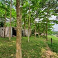 Bán gấp Flamingo Đại Lải view hồ, giá tốt ,  chỉ từ 2.7- 3.5 tỷ. LH 0936193286