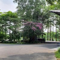 Bán gấp Flamingo Đại Lải view hồ, giá tốt ,  chỉ từ 2.7- 3.5 tỷ. LH 0936193286