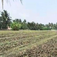 1200M2 Cln Lê Thị Lệ Chi, Chợ Gạo, Tiền Giang