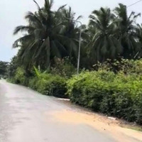 1200M2 Cln Lê Thị Lệ Chi, Chợ Gạo, Tiền Giang