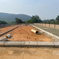 Bán Mảnh Đất 100M2 Mặt Tiền 8M, Chính Chủ F0, Hòa Thạch, Quốc Oai Chỉ Nhỉnh 2 Tỷ