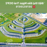 Quỹ Căn Độc Quyền Biệt Thự Ngọc Trai Vinhomes2 Cần Bán Nhanh
