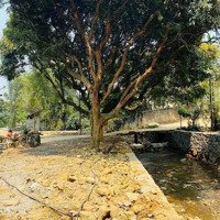 Chính Chủ Cần Thanh Khoản Gấp Lô Đất Nghỉ Dươcng Đẹp Như Tranh