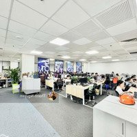 Toà Nhàmặt Tiềncửu Long, Tân Bình - 20X25M - 2 Hầm 9 Tầng - Hđt 700 Triệu - Giá Bán 170 Tỷ