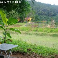 Chính Chủ Bán 1,4Ha Đất Đẹp Tại Tà Nung, Đà Lạt, Tiềm Năng Kinh Doanh Du Lịch
