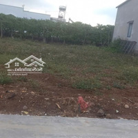 Đất Đẹp Tại Xã Tân Phú Tân Hội Đức Trọng Lâm Đồng - Gần Sân Bay Liên Khương Trung Tâm Giá Chỉ 1,150