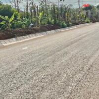 Cư Mgar- Đắk Lắk dt hơn 500m2 đất đỏ bazan mặt tiền ngang 12m nở hậu trên đất có tiêu, cà phê, sầu chỉ 129tr