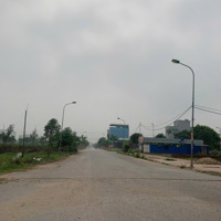 Chính Chủ Bán Lk 10, Kđt Cienco5, Mê Linh: 100M2,Mặt Tiền5M, Đường 15.5M, Sát Trường Đhtc, 35 Triệuiệu/1M2