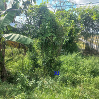 Bán Nền: 200M² (6M X 32M, Thổ 80M², Hậu 7M) Đường Nhựa 7M, Xã Tân Hội Trung, H Cao Lãnh