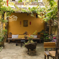 Bán Nhà Cà Phê Tại Trần Phú, 12,5 Tỷ, 111M2, Giá Ưu Đãi Đang Cho Thuê 50 Triệu/ Tháng