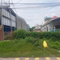 Bán Đất Thổ Cưmặt Tiềnđường Nhựa Số 229, Xã Hòa Phú, Củ Chi, Gần Chợ Hoà Phú, Cách Sông Sài Gòn 200M
