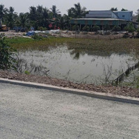Bán Đất 1000M2 Full Thổ Cư Bình Chánh Giá Bán 17Tỷ