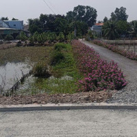 Bán Đất 1000M2 Full Thổ Cư Bình Chánh Giá Bán 17Tỷ