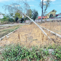 Bán Đất Tại Xã Bình Yên, Thạch Thất, Hà Nội, 2,55 Tỷ, 60M2, Mặt Tiền 5M, Ngõ 8M