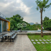 Bán Villa Vận Hành Tốt 1500M_150M Đất Ở_Doanh Thu 100 Triệu/Tháng_Vân Hoà Ba Vì_1X Tỷ