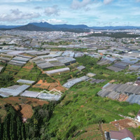 Bán Đất Tại Phường 11, Đà Lạt, 14 Tỷ, 434 M2, Giá Cực Chất, Đẹp, Nhiều Tiện Ích