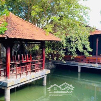 Chủ Cần Bán Siêu Phẩm Nhà Vườn Nghỉ Dưỡng Và Giải Trí Ngay Tt Tp Tân An