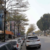 Siêu Hiếm-Mặt Phố -Tt Đống Đa- 110M-Mt 7M- Lô Góc 3 Mặt Thoáng, Vỉa Hè 5M, Kinh Doanh Siêu Đỉnh
