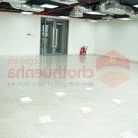 Chính Chủ Cho Thuê Tòa Nhà Văn Phòng Mặt Tiền Đường Tô Hiến Thành Q10 Ngay Gần Vạn Hạnh Mall