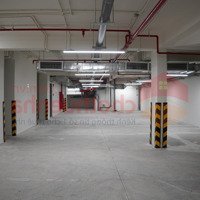 Chính Chủ Cho Thuê Tòa Nhà Văn Phòng Mặt Tiền Đường Tô Hiến Thành Q10 Ngay Gần Vạn Hạnh Mall