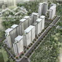 Bán Gấp Căn 54M2 2 Ngủ Tòa Ct7F The Spark Dương Nội 2,78 Tỷ 0943554388 (Miễn Trung Gian)