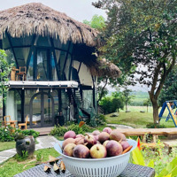 Bán Villa 2200M2 Có 400M Đất Ở, Thiết Kế Hiện Đại Vận Hành Tốt Doanh Thu 1,5Tỷ/Năm Vân Hoà Ba Vì Hn