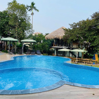 Bán Villa 2200M2 Có 400M Đất Ở, Thiết Kế Hiện Đại Vận Hành Tốt Doanh Thu 1,5Tỷ/Năm Vân Hoà Ba Vì Hn