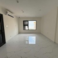 Chủ Gửi Bán Gấp - Studio Bs8, Diện Tích Lớn, Giá Tốt!