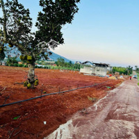 Ngay Kdl 7 Tầng - View Phật Bà . Shr 155M2 , 73M2 Thổ Cư . Giá Bán Tốt Nhất Khu Vực