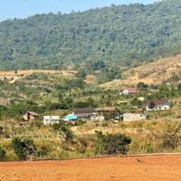 Ngay Kdl 7 Tầng - View Phật Bà . Shr 155M2 , 73M2 Thổ Cư . Giá Bán Tốt Nhất Khu Vực