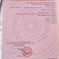 Bán Đất Tích Lộc, Phúc Thọ, Hà Nội, 35 Triệu/M2, 186.9M2, Pháp Lý Đầy Đủ