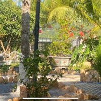 Bán Fram Phước Đồng. Nằm Giữa Quần Thể Fram, Biệt Thự Nghỉ Dưỡng Giá Rẻ Hơn Đất Huyện,Diện Tích3500M