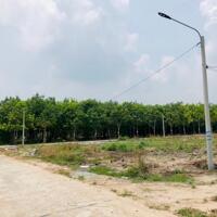 Bán sào đất 1.000 m2,thổ cư sẳn liền kề,giá 195 triệu, dân cư hiện hữu sầm uất