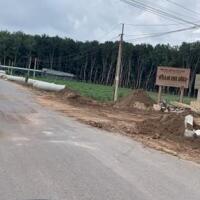 Bán sào đất 1.000 m2,thổ cư sẳn liền kề,giá 195 triệu, dân cư hiện hữu sầm uất