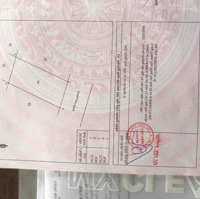 Bán Gấp Đất Nền 206M2 Tại An Phước, Long Thành, Đồng Nai Giá Bán 3,1 Tỷ