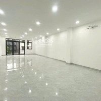 Cho Thuê Nhà Hxt Thành Thái, Phường 12, Quận 10