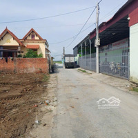 Đường Nhựa Trục Thôn Xuân La Thanh Sơn Giá Chỉ 1,24 Tỷ Ô Tô Tránh Nhau