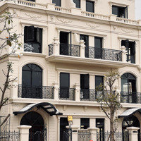 Biệt Thự Song Lập Đẳng Cấp Đảo Vua 2 Phân Khu Đảo Vua Vinhomes Royal Island