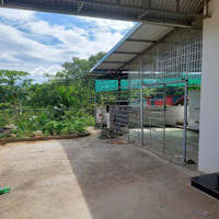 Bán Nhà Riêng 435M2 Đối Diện Cổng Khu Dầu Khí Lasaveur