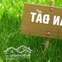 Bán 8.6 Sào Đất Đồng Phú Bình Phước. (8624M2) Sổ Hồng, Gần Khu Visip, Nhỉnh 2 Tỷ