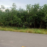 Bán Gấp Đất Nông Nghiệp Tại Mặt Tiền Đường Đt 821, Ấp Lộc Hòa, Lộc Giang, Đức Hòa, Tỉnh Long An