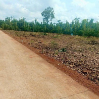 Bán Đất Láng Lớn - Kim Long, 650 Triệu, 125 M2, Mặt Tiền 5M, Ngõ Rộng 4M, Pháp Lý Đầy Đủ