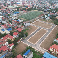 Chính Chủ Gửi Bán Lô 43 Đấu Giá Tt. An Dương, Hải Phòng
