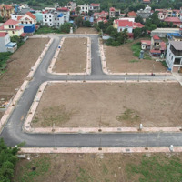Chính Chủ Gửi Bán Lô 43 Đấu Giá Tt. An Dương, Hải Phòng