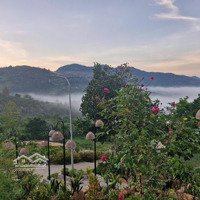 Đất Nền Nghỉ Dưỡng 1000M2 Tại Aman
Blao, Suối Ôm Trọn, Sổ Riêng Từng Nền,View Săn Mây
