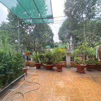 Chính Chủ Bán Nhà Mặt Tiền Đường Lê Thị Trung, Thủ Dầu Một, Bình Dương