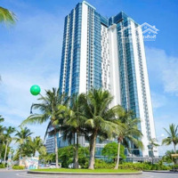 Có Luôn Dòng Tiền 12-15 Triệu/Tháng Khi Mua Căn Hộ Full Nội Thất Sẵn Sổ Đỏ Cách Biển 1 Bước Chân
