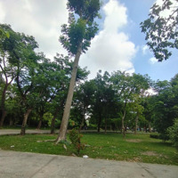 Ngây Ngất *!*Mặt Tiềnđường Số 44- Bình Phú, F. 10, Quận 6 ( 4X20M) 4 Tầng Chỉ Dưới 13 Tỷ